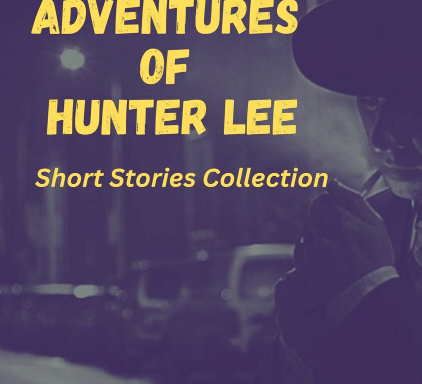 The Adventures of Hunter Lee, e book, 9 graders