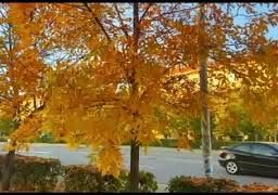 Есента в стихове